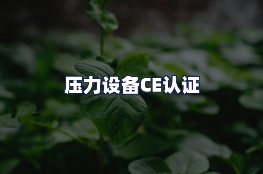 压力设备CE认证